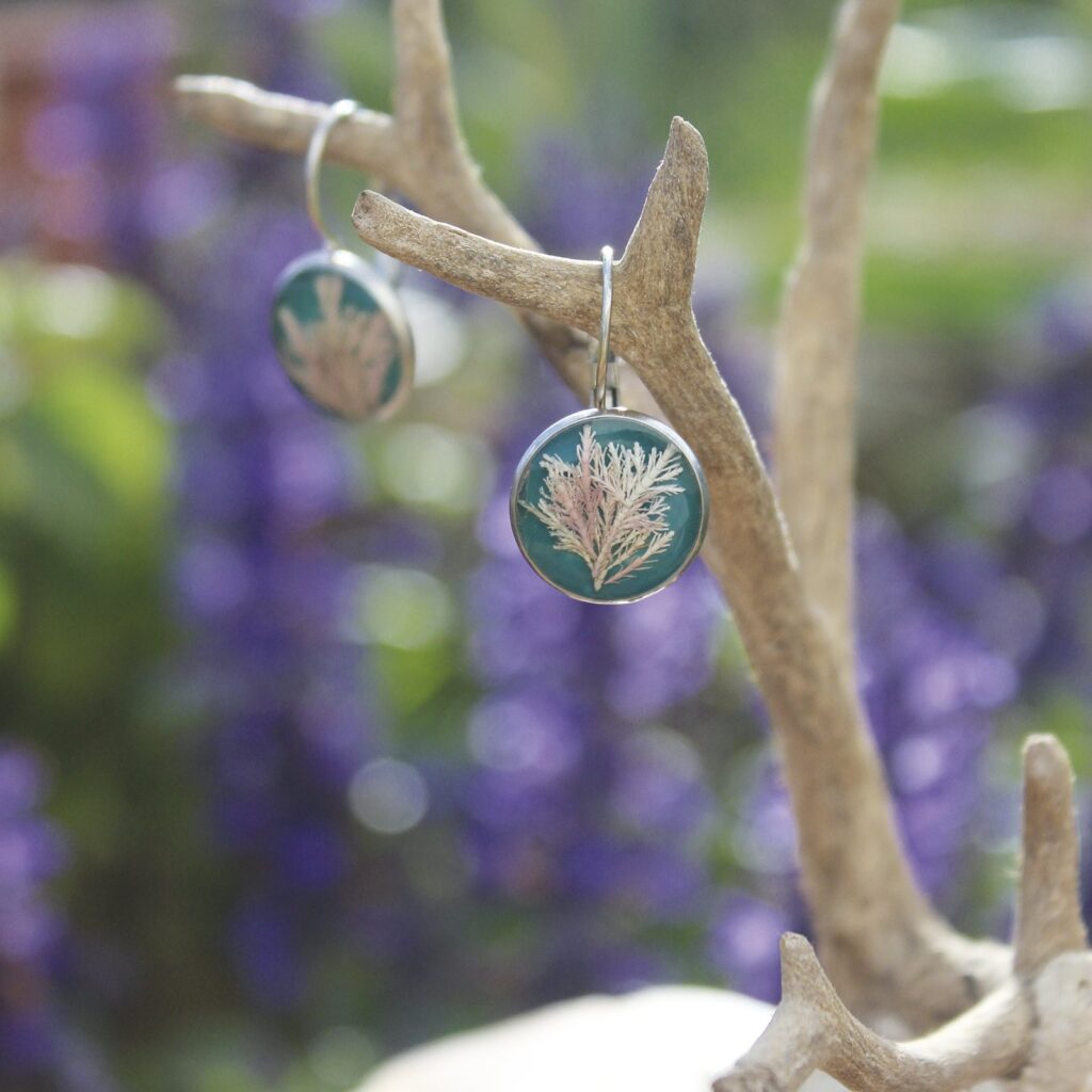 Pendientes de resina UV y acero hipoalergénico con alga coralina sobre fondo azul, hechos a mano en Malas Herbas Artesanía, artesanos gallegos.