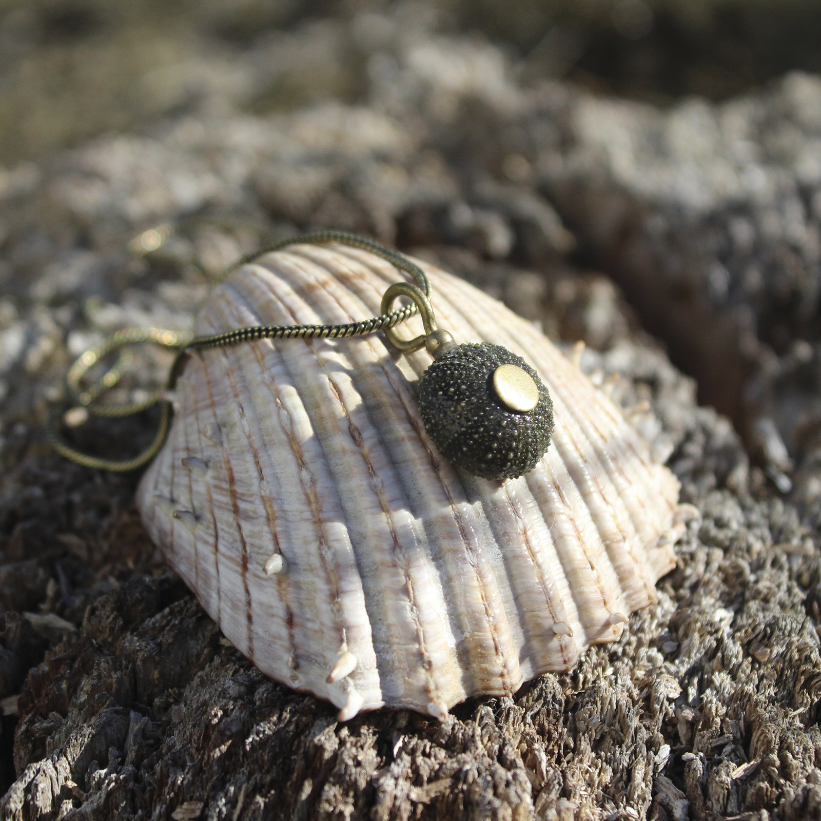 Colgante de erizo de mar natural nº 10, 16 mm, gris oscuro, con montura y cadena de latón, hecho a mano en Malas Herbas Artesanía, artesanos gallegos.