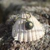 Colgante de erizo de mar natural nº 10, 16 mm, gris oscuro, con montura y cadena de latón, hecho a mano en Malas Herbas Artesanía, artesanos gallegos.