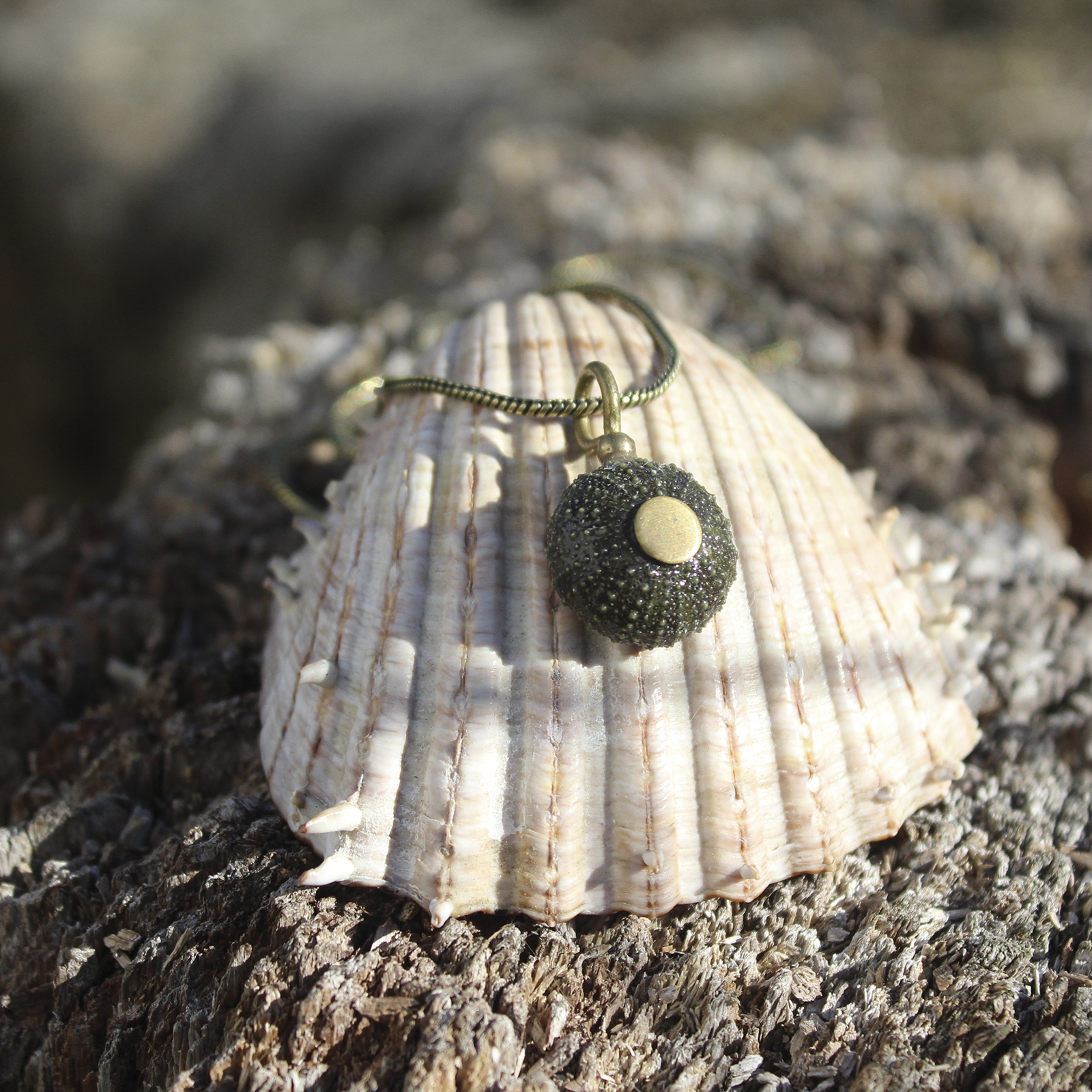 Colgante de erizo de mar natural nº 10, 16 mm, gris oscuro, con montura y cadena de latón, hecho a mano en Malas Herbas Artesanía, artesanos gallegos.