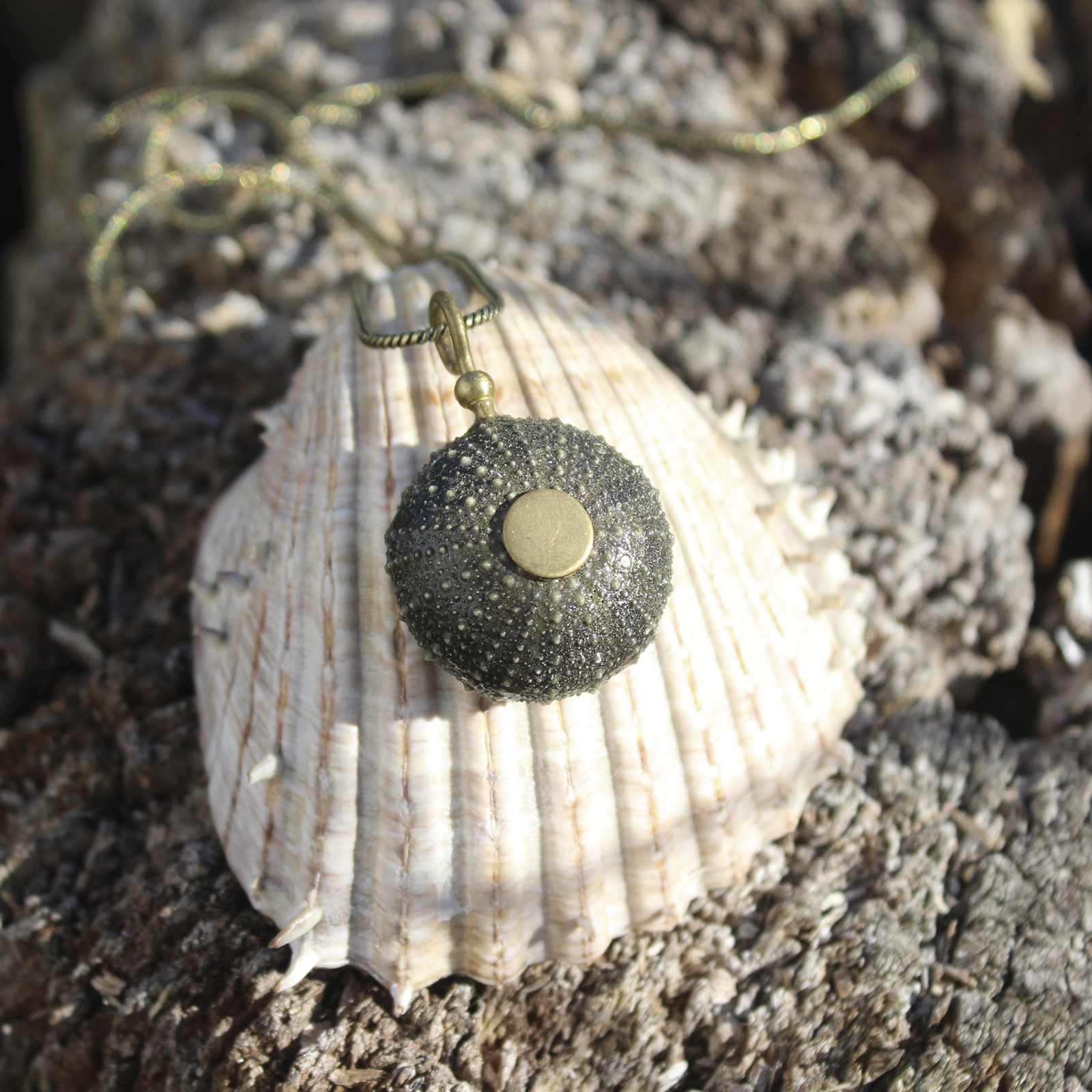 Colgante de erizo de mar natural nº 1, 27 mm, gris oscuro casi negro, con montura y cadena de latón, hecho a mano en Malas Herbas Artesanía, artesanos gallegos.