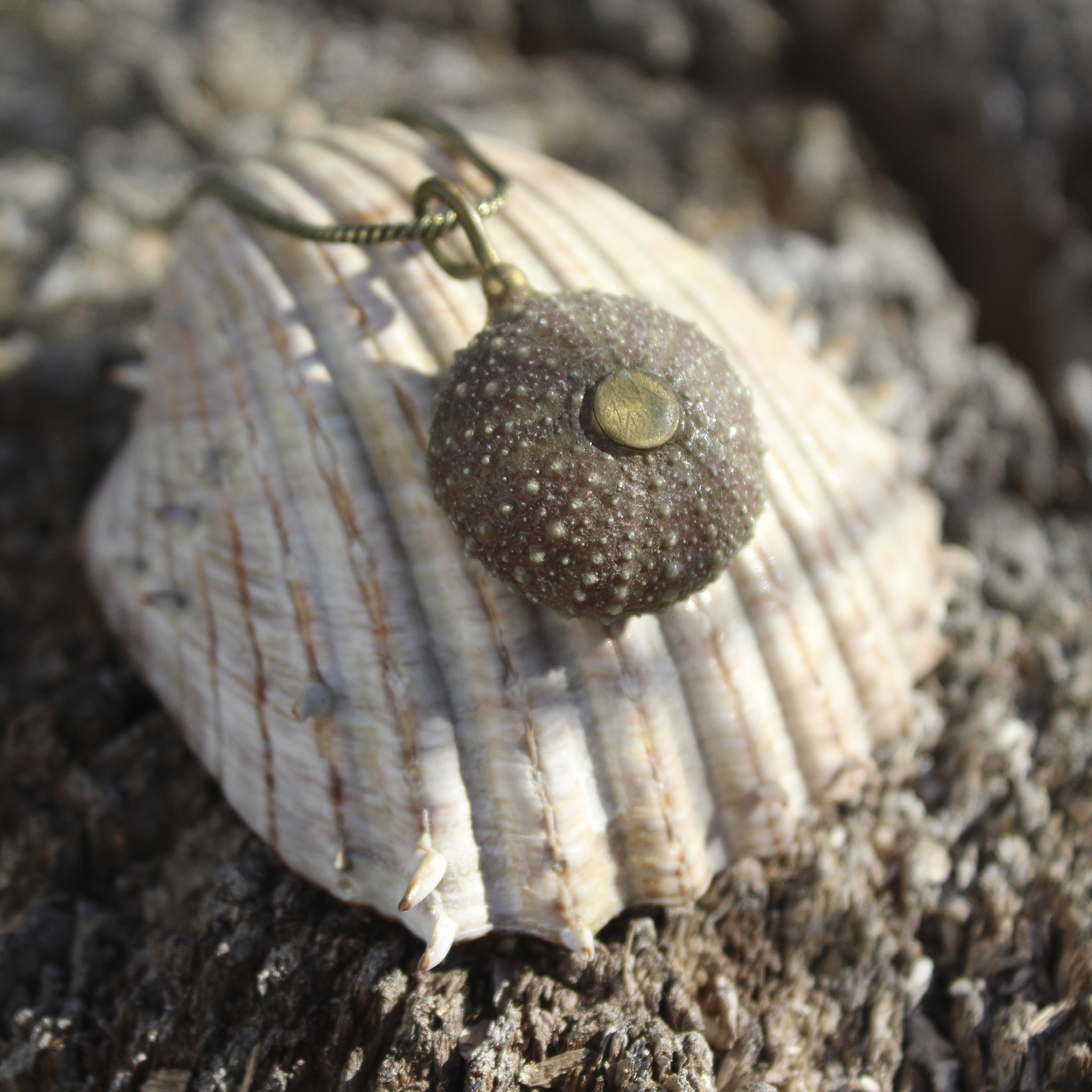 Colgante de erizo de mar natural nº 2, 25 mm, malva, con montura y cadena de latón, hecho a mano en Malas Herbas Artesanía, artesanos gallegos.