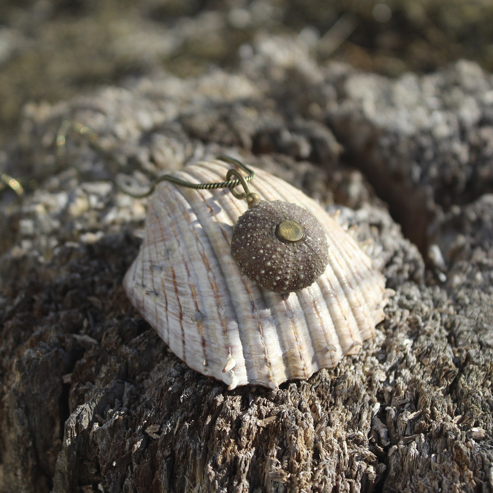 Colgante de erizo de mar natural nº 2, 25 mm, malva, con montura y cadena de latón, hecho a mano en Malas Herbas Artesanía, artesanos gallegos.