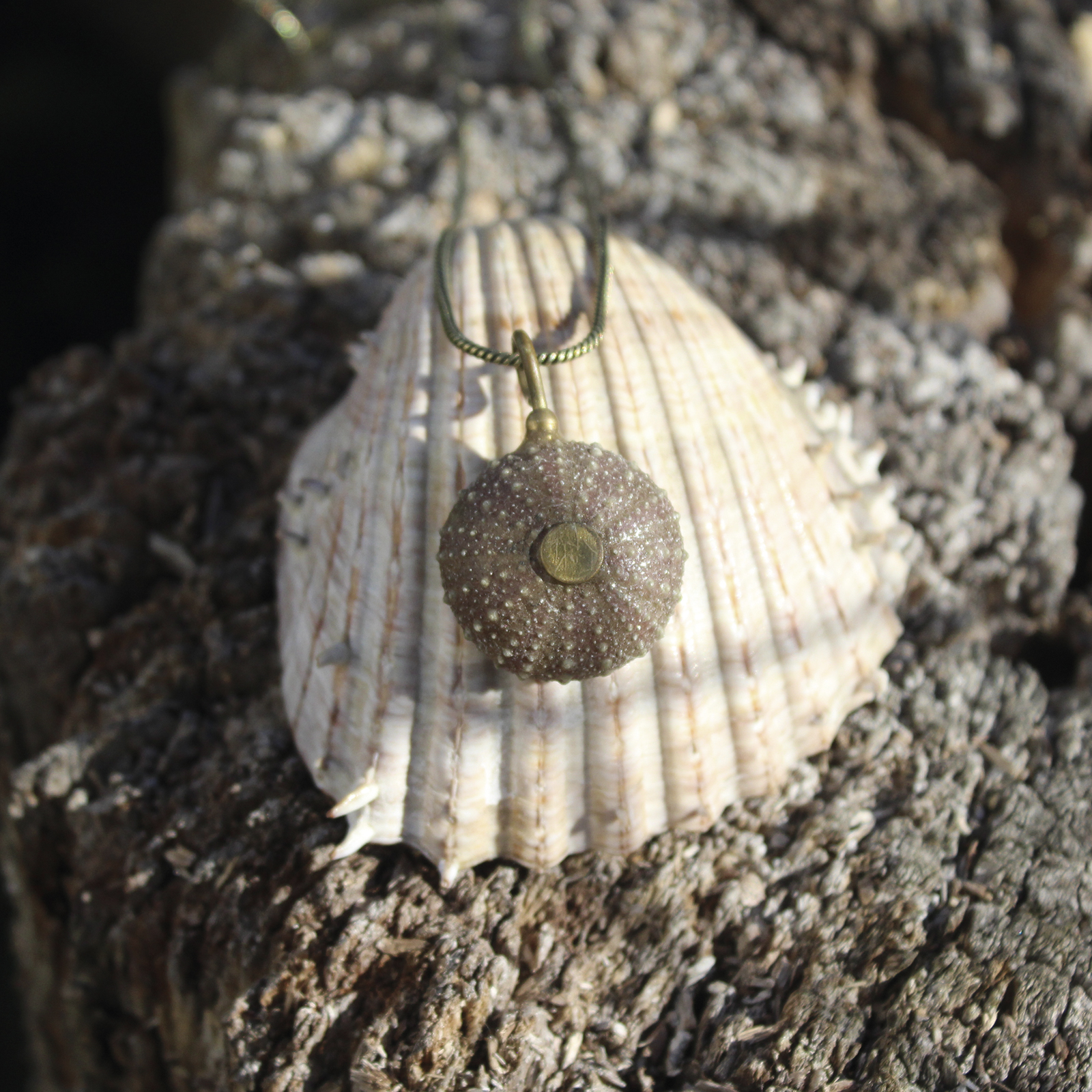 Colgante de erizo de mar natural nº 2, 25 mm, malva, con montura y cadena de latón, hecho a mano en Malas Herbas Artesanía, artesanos gallegos.