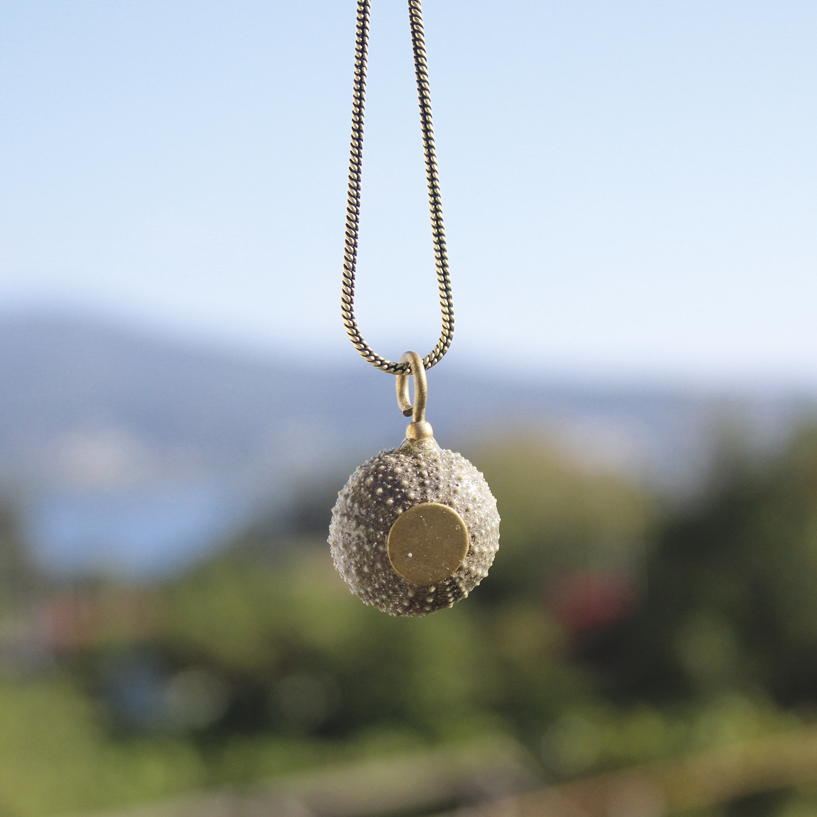Colgante de erizo de mar natural con montura y cadena de latón, hecho a mano en Malas Herbas Artesanía, artesanos gallegos.
