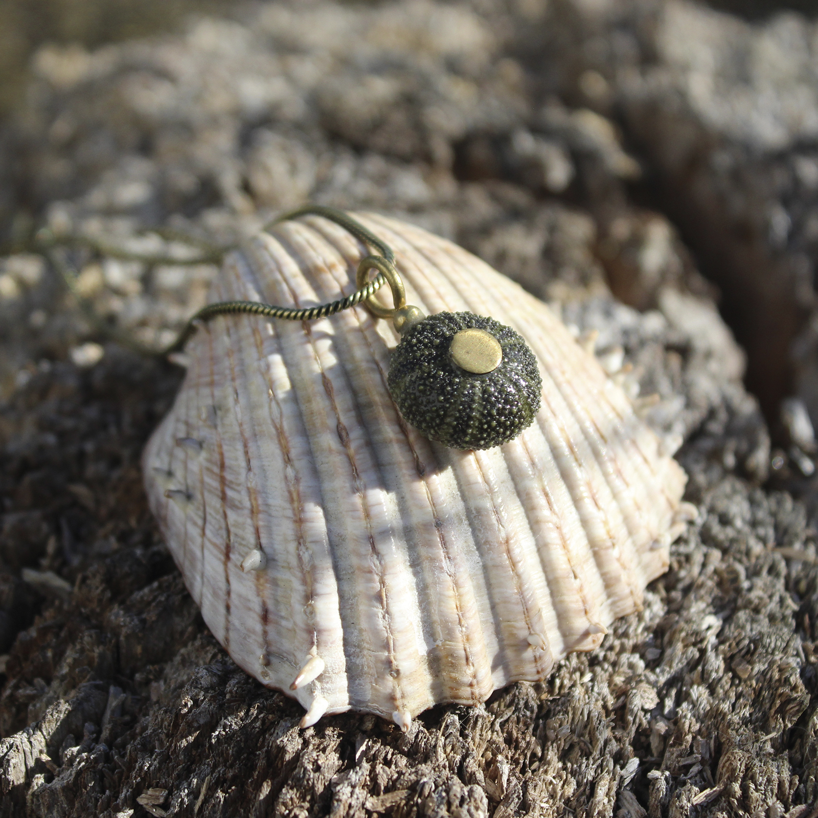 Colgante de erizo de mar natural nº 8, 18 mm, gris muy oscuro, con montura y cadena de latón, hecho a mano en Malas Herbas Artesanía, artesanos gallegos.
