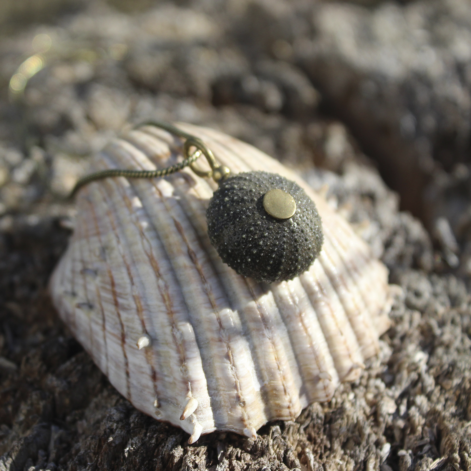 Colgante de erizo de mar natural nº 9, 17 mm, gris violáceo, con montura y cadena de latón, hecho a mano en Malas Herbas Artesanía, artesanos gallegos.
