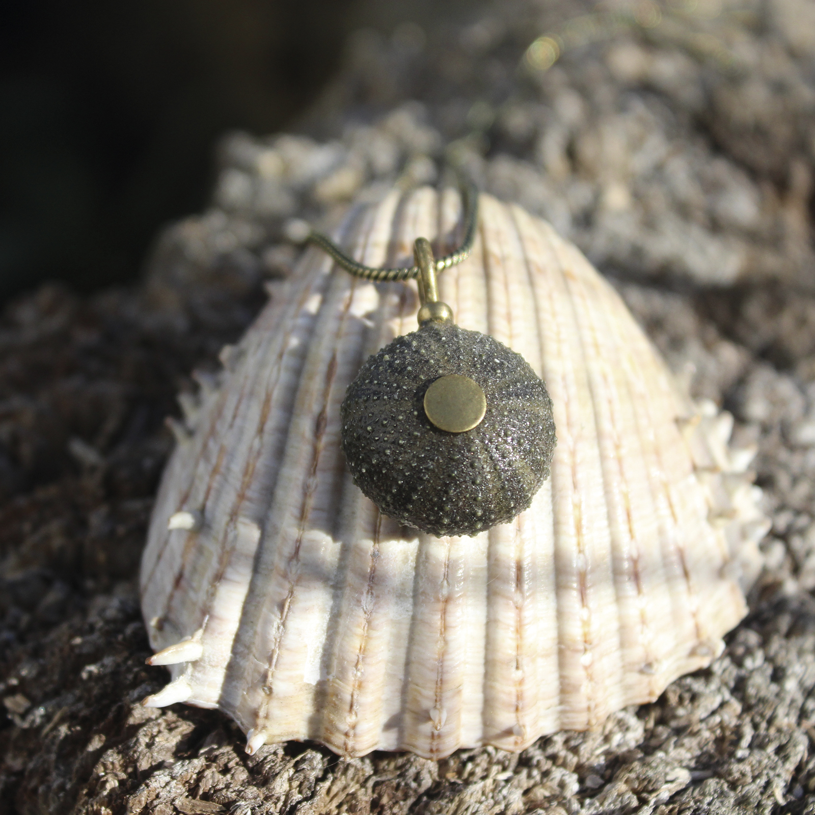 Colgante de erizo de mar natural nº 9, 17 mm, gris violáceo, con montura y cadena de latón, hecho a mano en Malas Herbas Artesanía, artesanos gallegos.
