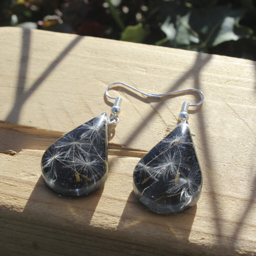 Pendientes de gota en resina con semillas de diente de león naturales sobre fondo negro, hechos a mano en Malas Herbas Artesanía, artesanos gallegos.
