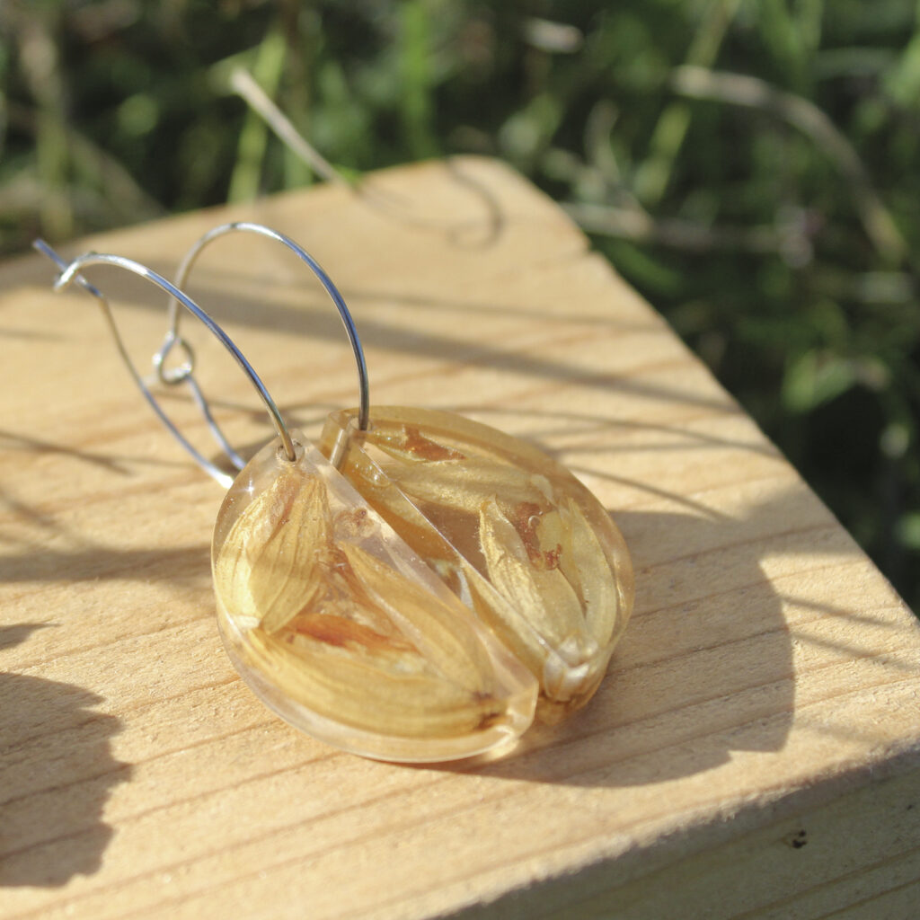 Pendientes de media luna en resina con flores de toxo naturales encapsuladas y aros de acero hipoalergénico, hechos a mano en Malas Herbas Artesanía, artesanos gallegos.